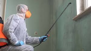 Reliable East Hampton North, NY Mold Removal Solutions